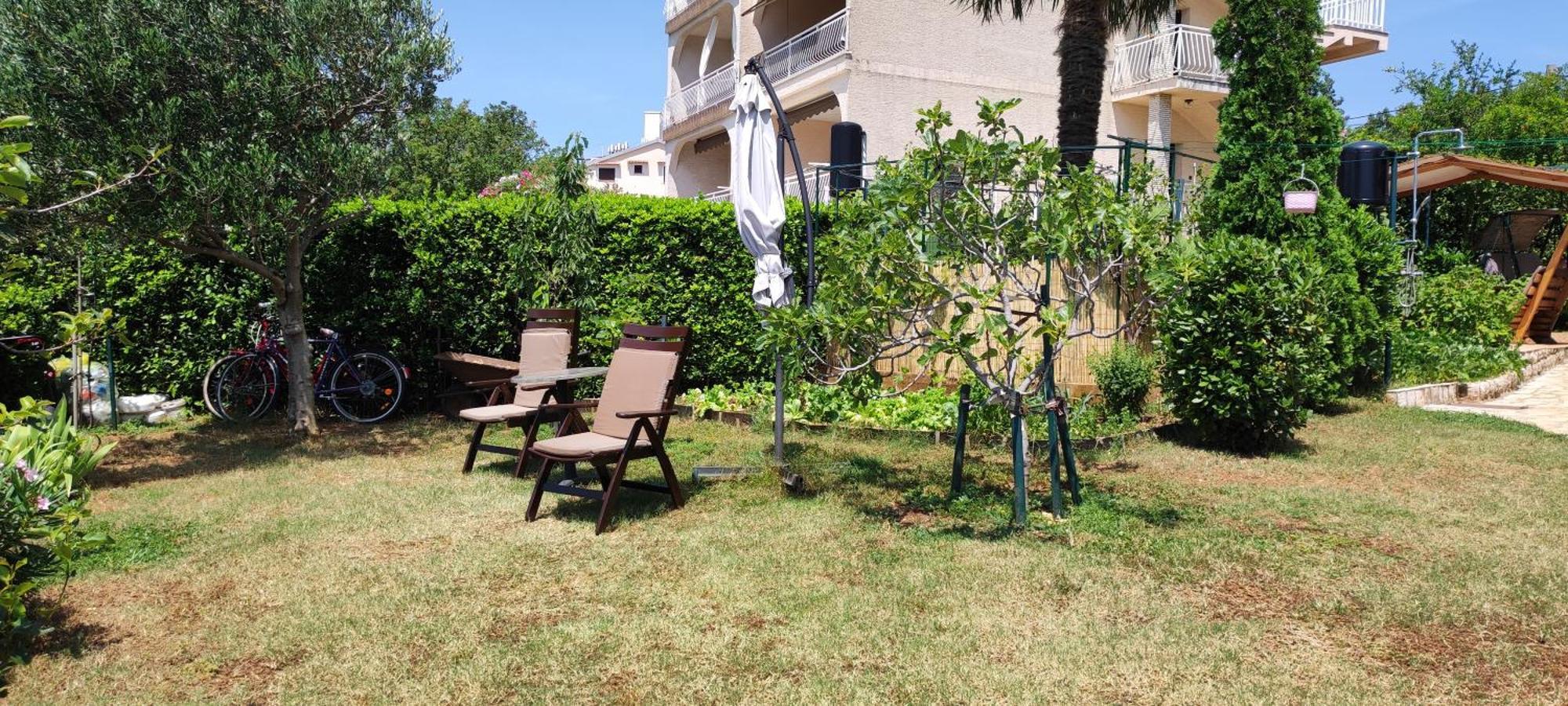 Apartments Svjeta Jadranovo Ngoại thất bức ảnh